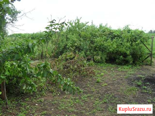 Участок ИЖС 30 сот. на продажу в Новокорсунской Новокорсунская - изображение 3