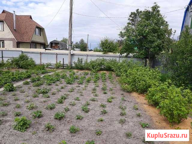 Участок СНТ, ДНП 6 сот. на продажу в Сургуте Ханты-Мансийского АО Сургут - изображение 1