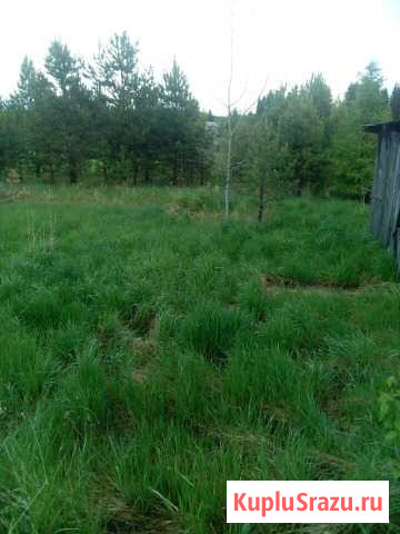 Участок СНТ, ДНП 10 сот. на продажу в Николо-Павловском Николо-Павловское - изображение 2