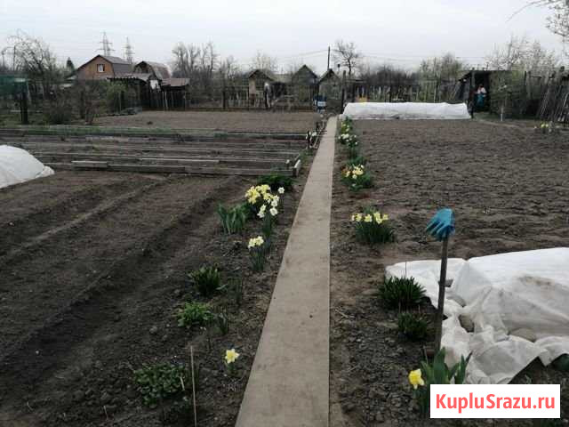 Участок СНТ, ДНП 6 сот. на продажу в Бийске Бийск - изображение 3