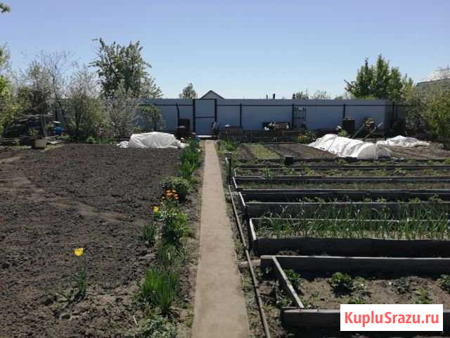 Участок СНТ, ДНП 6 сот. на продажу в Бийске Бийск - изображение 2