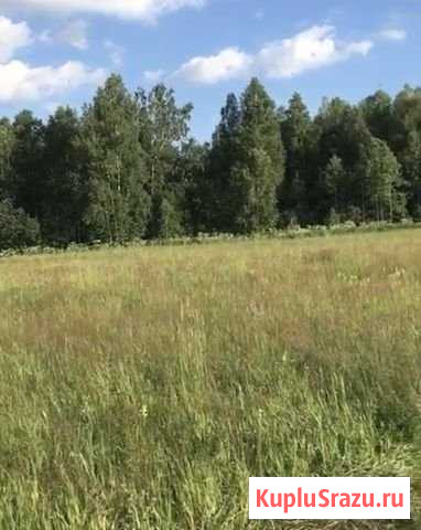 Участок СНТ, ДНП 54000 сот. на продажу в Томске Томск - изображение 2