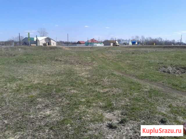 Участок ИЖС 15 сот. на продажу в Новом Буяне Новый Буян - изображение 3