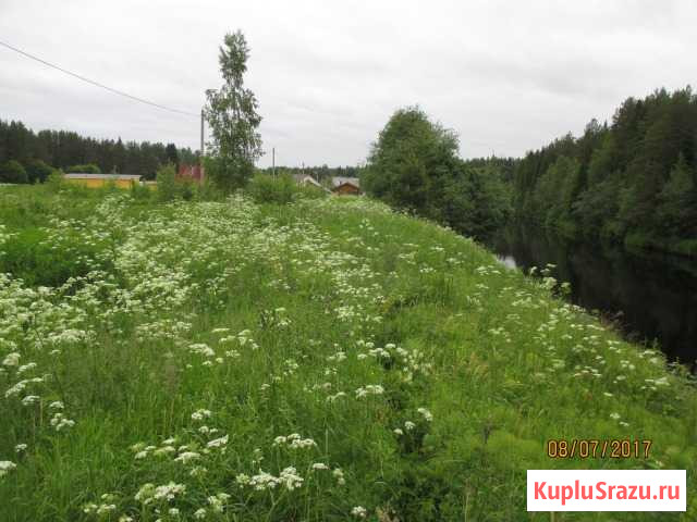 Участок ИЖС 30 сот. на продажу в Олонце Олонец - изображение 3