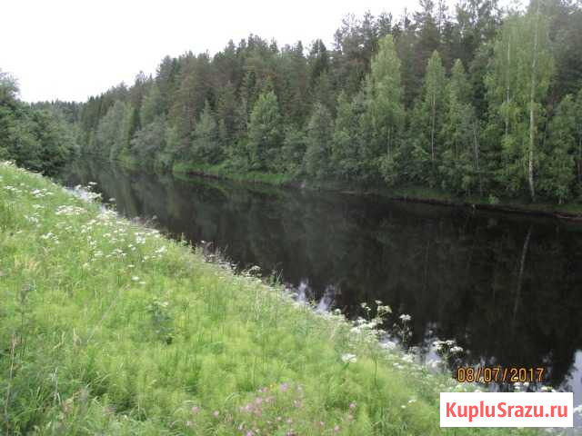 Участок ИЖС 30 сот. на продажу в Олонце Олонец - изображение 2