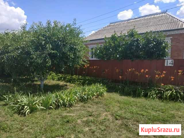 Дом 190 м² на участке 7 сот. на продажу в Каневской Каневская - изображение 1