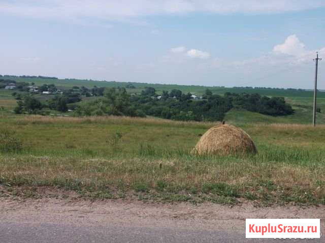 Участок СНТ, ДНП 45 сот. на продажу в Короче Короча - изображение 1