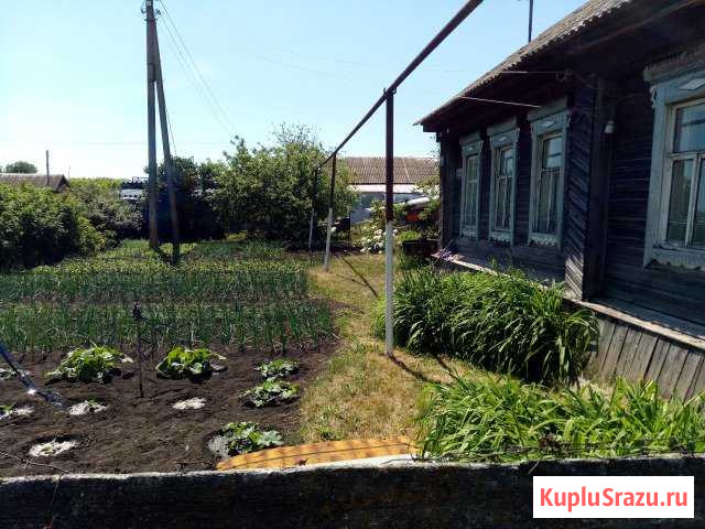 Дом 56 м² на участке 30 сот. на продажу в Хрящевке Хрящевка - изображение 2