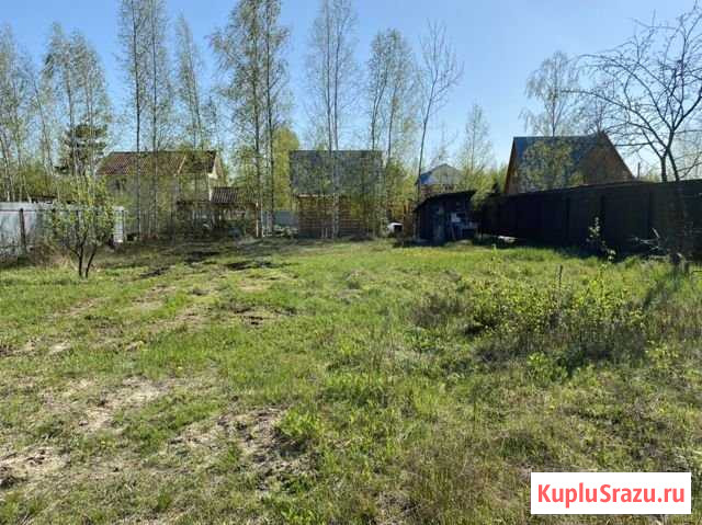 Участок СНТ, ДНП 6 сот. на продажу в Электрогорске Электрогорск - изображение 2