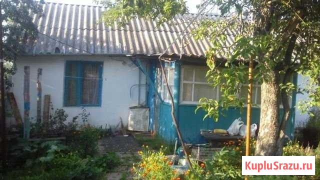 Дом 56 м² на участке 15 сот. на продажу в Куркино Куркино - изображение 1