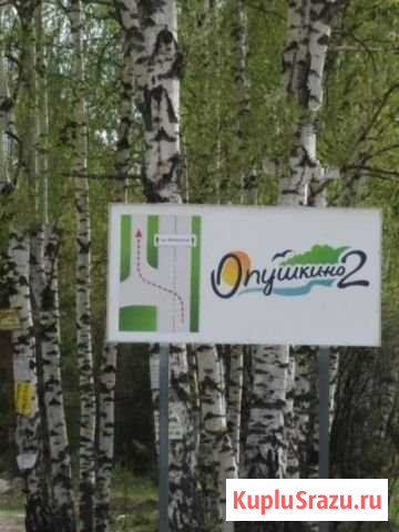 Участок СНТ, ДНП 7 сот. на продажу в Павловском Посаде Павловский Посад - изображение 2