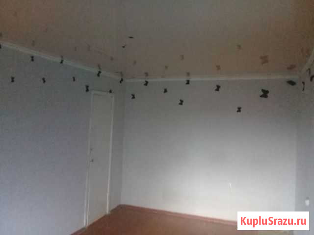 2-комнатная квартира, 48 м², 1/2 эт. на продажу в Бродокалмаке Бродокалмак - изображение 3