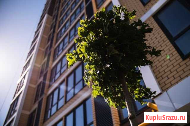 4-комнатная квартира, 101.5 м², 16/16 эт. на продажу в Астрахани Астрахань - изображение 1