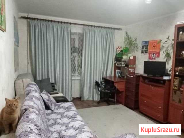 1-комнатная квартира, 31.5 м², 4/5 эт. на продажу в Перми Пермь - изображение 1