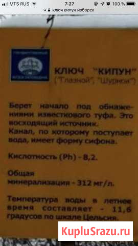 Участок СНТ, ДНП 5007 сот. на продажу в Печорах Печоры - изображение 3