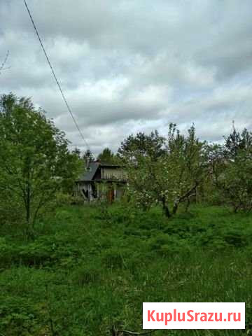 Дача 50 м² на участке 6 сот. на продажу в Дружной Горке Дружная Горка - изображение 2