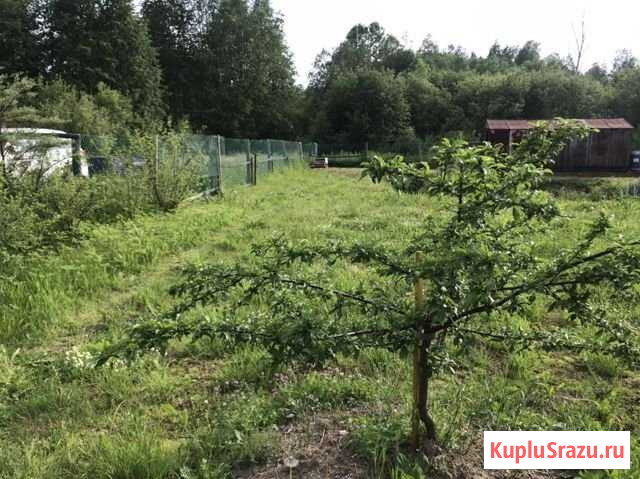 Участок СНТ, ДНП 9 сот. на продажу в Песочном Песочное - изображение 2