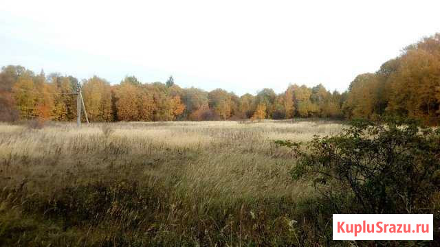 Участок ИЖС 14 сот. на продажу в Плавске Плавск - изображение 1