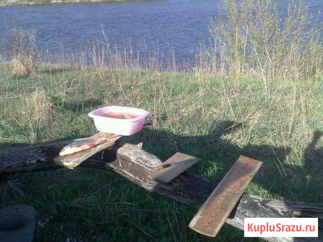Участок ИЖС 15 сот. на продажу в Рамони Рамонь - изображение 2