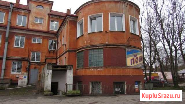 Помещение свободного назначения, 123.6 кв.м. Калининград - изображение 3