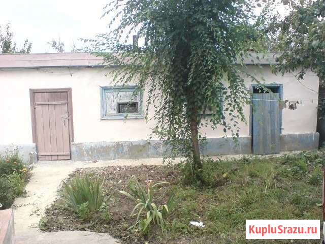 Дом 42 м² на участке 40 сот. на продажу в Высоцком Высоцкое - изображение 2