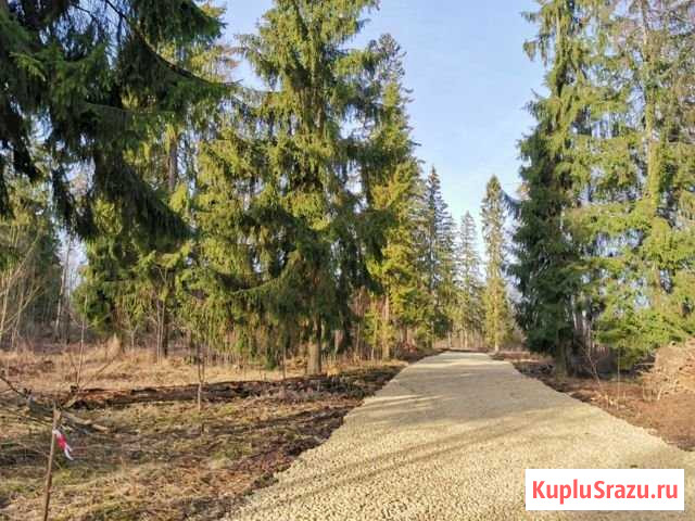 Участок ИЖС 15 сот. на продажу в Сиверском Сиверский - изображение 1