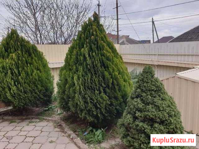 Дом 138.4 м² на участке 8 сот. на продажу в Яблоновском Яблоновский - изображение 3