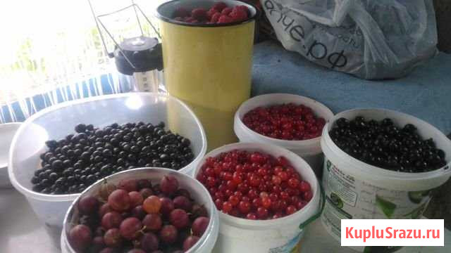 Дача 20 м² на участке 6 сот. на продажу в Топках Топки - изображение 2