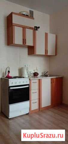 Квартира-студия, 25 м², 14/17 эт. в аренду на длительный срок в Кудрово Кудрово - изображение 3