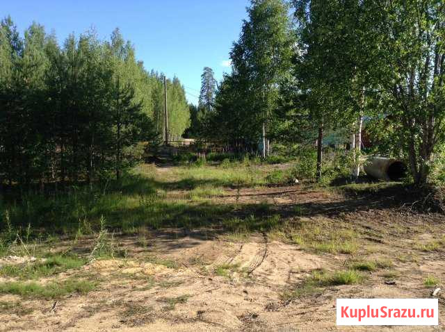 Участок СНТ, ДНП 15 сот. на продажу в Костомукше Костомукша - изображение 3