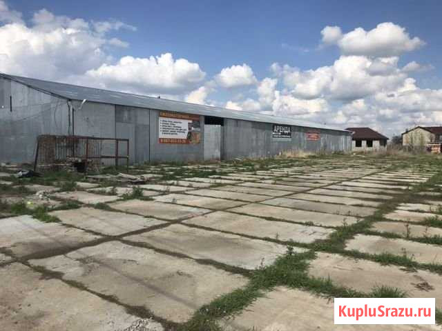 Рынок Астрахань - изображение 1