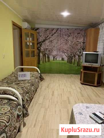 Комната 24 м² в 8-ком. кв., 2/3 эт. в аренду посуточно в Геленджике Геленджик - изображение 3