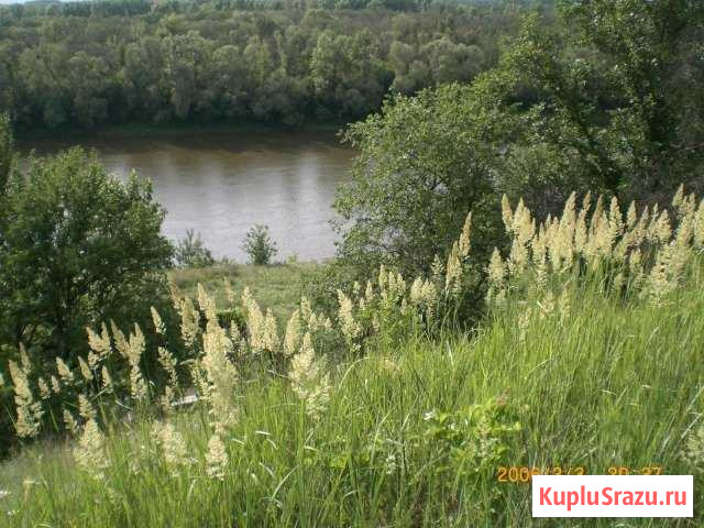 Дача 20 м² на участке 15 сот. на продажу в Среднем Икорце Средний Икорец - изображение 2