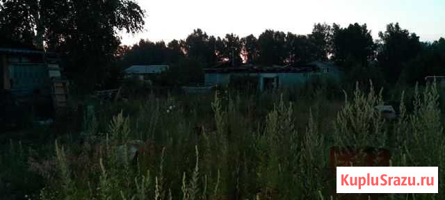 Дача 20 м² на участке 10 сот. на продажу во Власихе Власиха - изображение 3