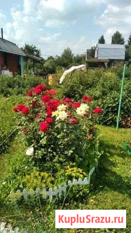 Дача 48 м² на участке 10 сот. на продажу в Омске Омск - изображение 1