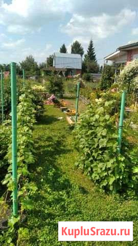 Дача 48 м² на участке 10 сот. на продажу в Омске Омск - изображение 2