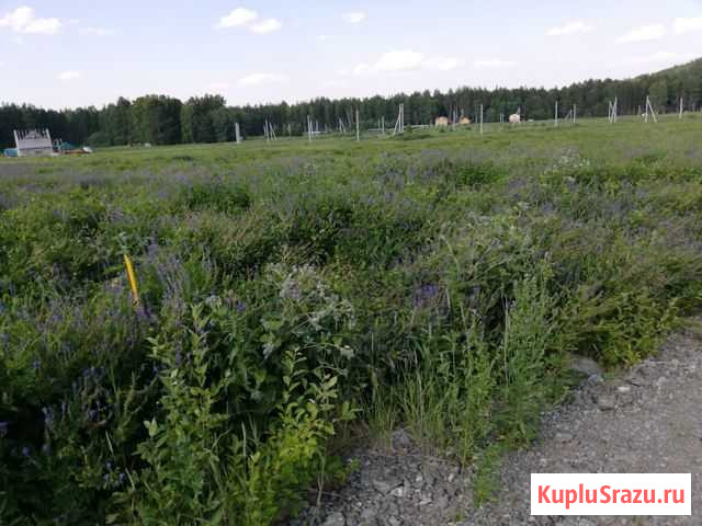 Участок СНТ, ДНП 15 сот. на продажу в Полевском Полевской - изображение 3