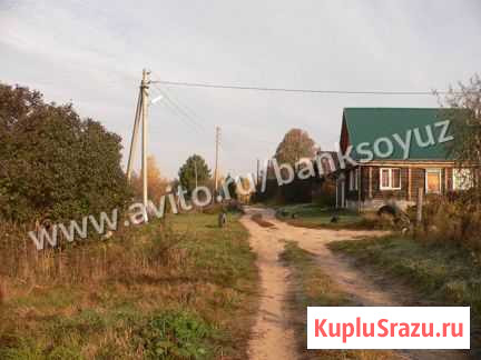 Участок ИЖС 38 сот. на продажу в Бору Бор - изображение 2