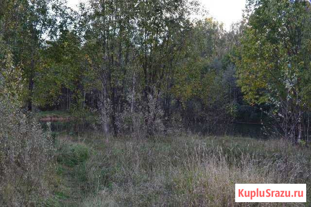 Участок СНТ, ДНП 20 сот. на продажу в Ярославле Ярославль - изображение 1