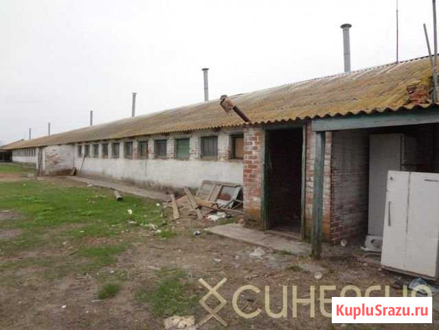 Участок ИЖС 1070 сот. на продажу в Ростове-на-Дону Ростов-на-Дону - изображение 3