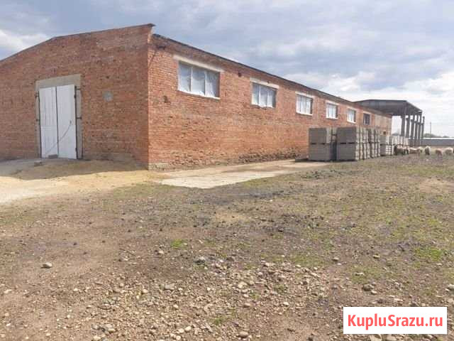 Зернохранилище,овощные склады в Краснодарском крае Михайловская - изображение 2