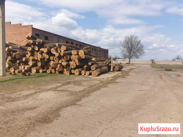 Зернохранилище,овощные склады в Краснодарском крае Михайловская - изображение 1