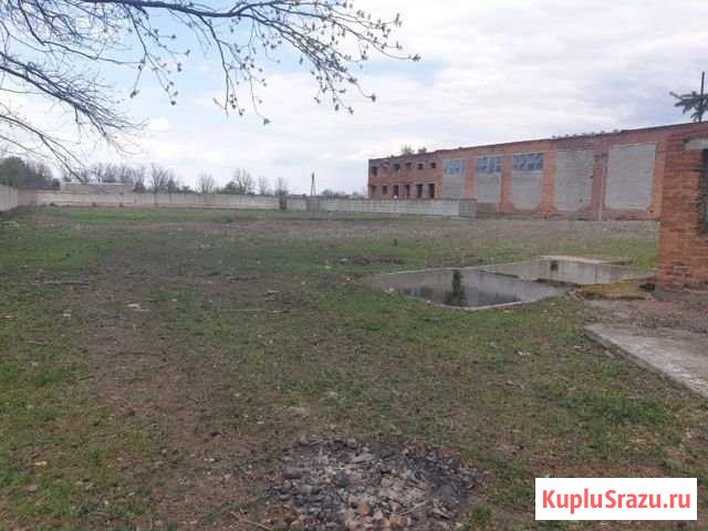 Зернохранилище,овощные склады в Краснодарском крае Михайловская - изображение 3