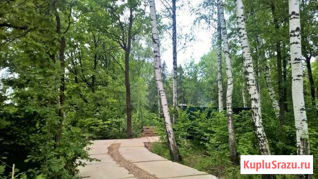 Участок СНТ, ДНП 16 сот. на продажу в Красногорске Московской области Красногорск - изображение 3