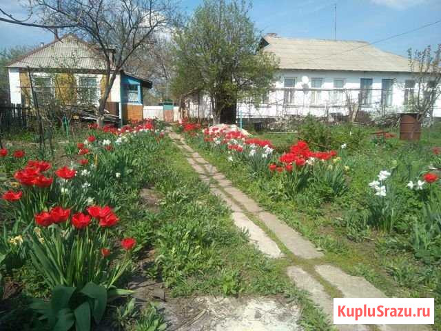 Дом 62 м² на участке 6 сот. на продажу в Шахтах Шахты - изображение 3