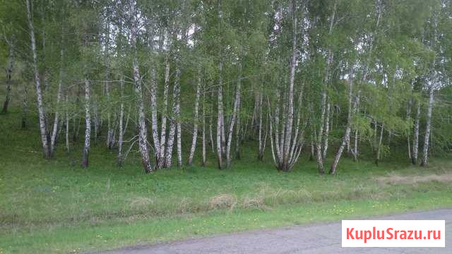Участок СНТ, ДНП 15 сот. на продажу в Красноярске Красноярск - изображение 3