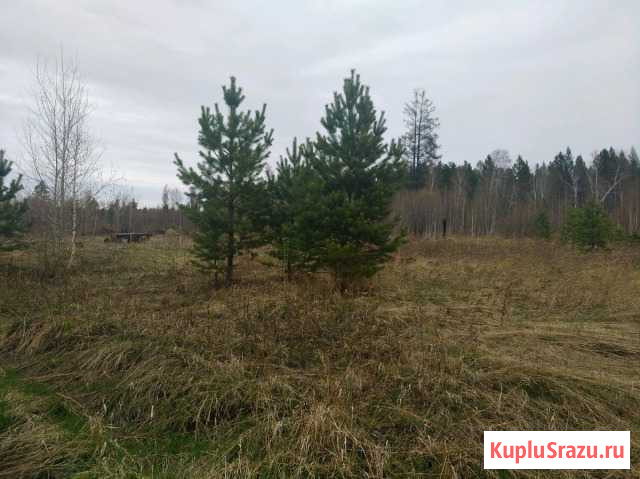 Участок СНТ, ДНП 10 сот. на продажу в Маркове Маркова - изображение 3