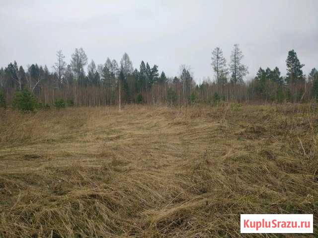 Участок СНТ, ДНП 10 сот. на продажу в Маркове Маркова - изображение 2