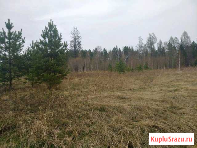 Участок СНТ, ДНП 10 сот. на продажу в Маркове Маркова - изображение 1