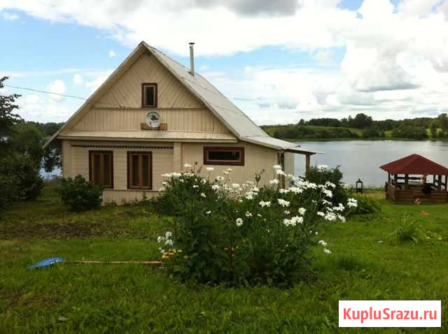 Дача 100 м² на участке 50 сот. на продажу в Новосокольниках Новосокольники - изображение 2